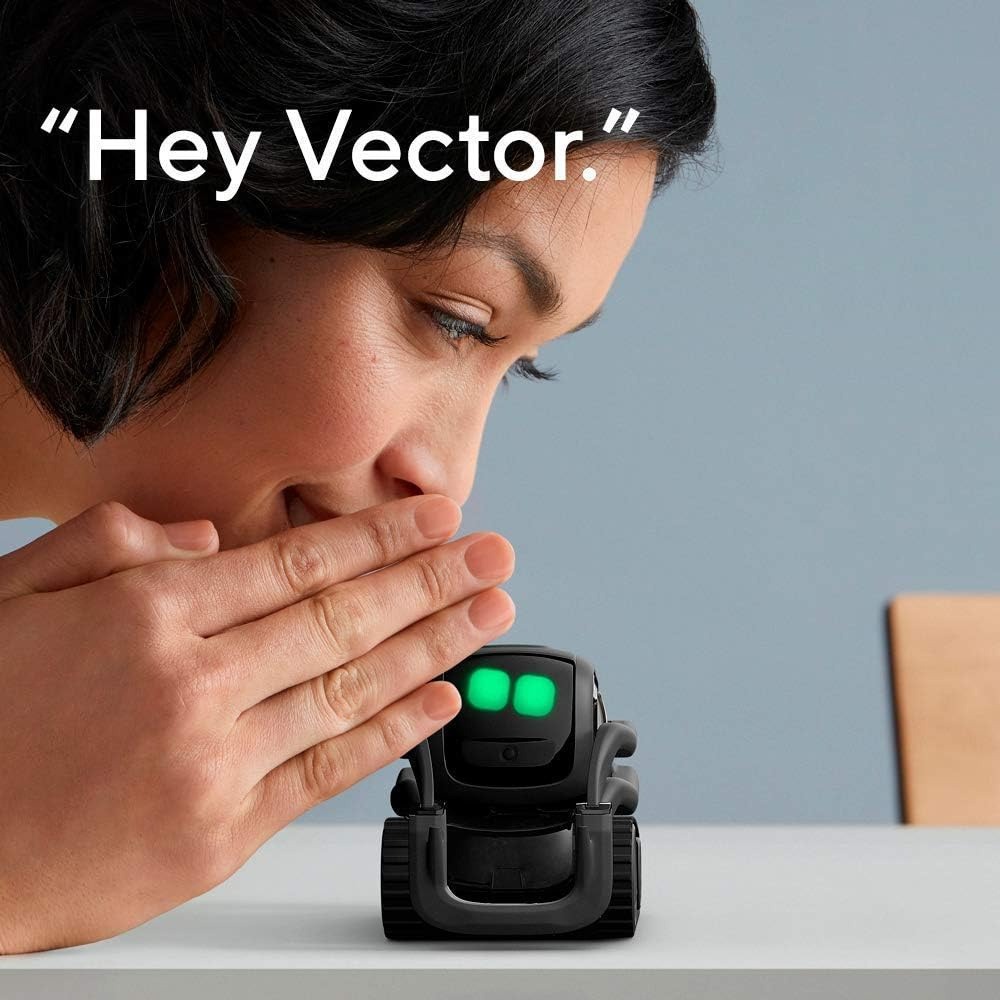 AI ChatGPT 2.0 Connected Robot - Kids Education Gift 评论和价格