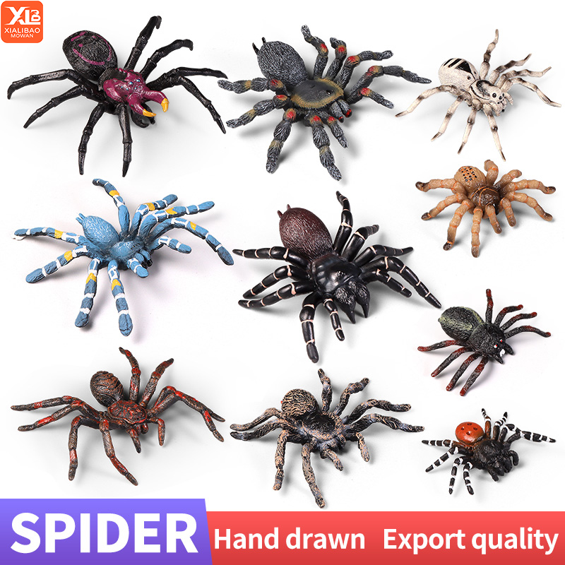 Educational Insect Spider Toys - Kids Education Learn Tv 评论和价格